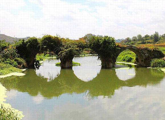 ���ݹ��������