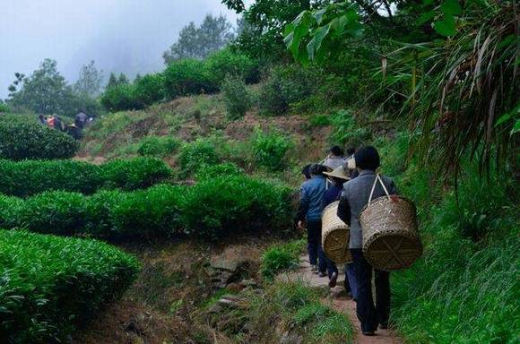 �����Ҳ�