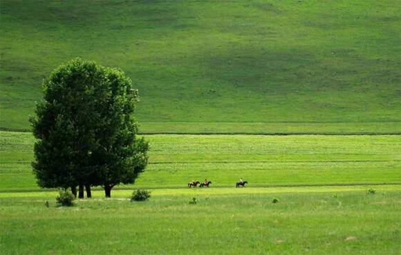 ��κ�����ʵ��ذϫ��������ء�