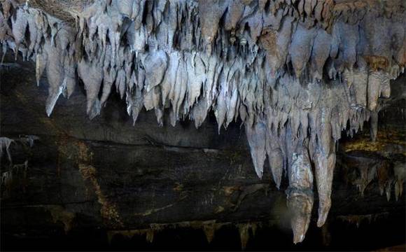 �������ַ����� ˮ·�γ�����Ҷ�