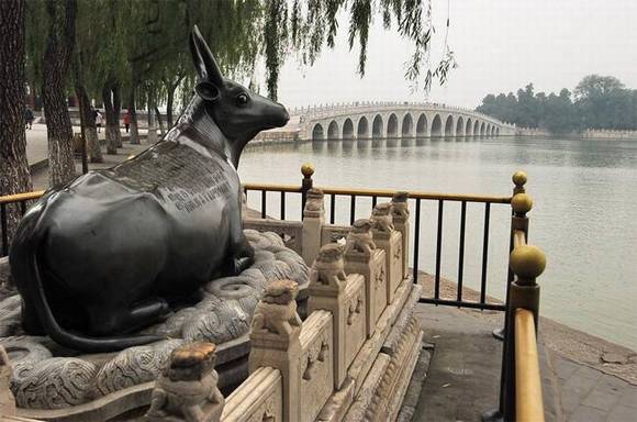 �ú�԰ͭţ�Ĵ�˵