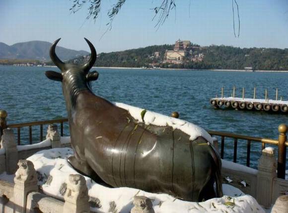 �ú�԰ͭţ�Ĵ�˵