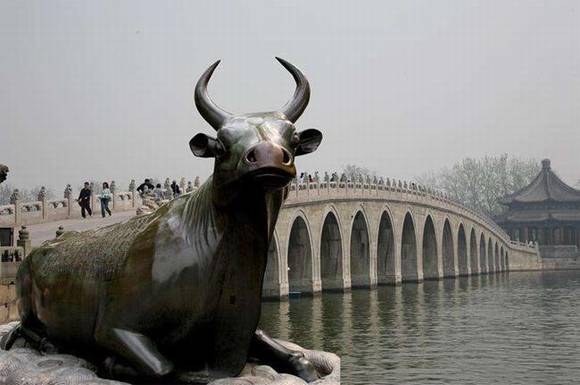 �ú�԰ͭţ�Ĵ�˵