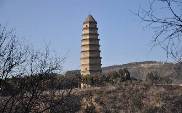 �����Ӱ��������