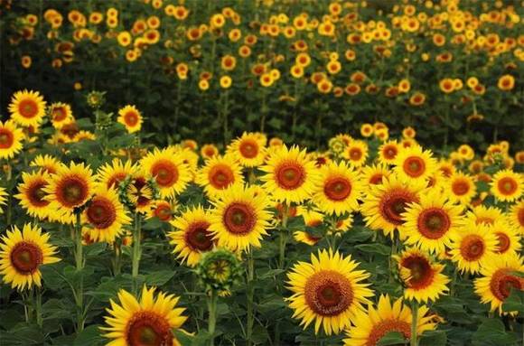 ũ�����³�һ���ϰ��