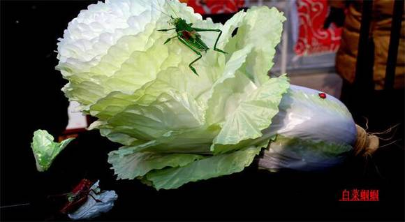 ���ϰ����������Ͼ���