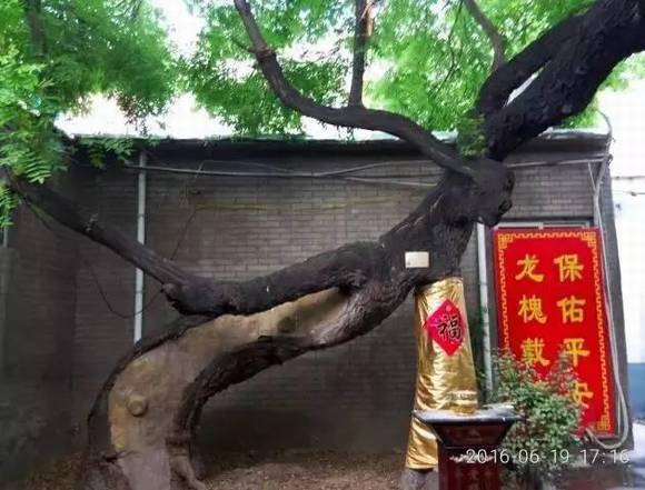 ���ϰ������� ��ɫ���ʯ��