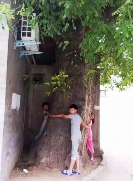 ���ϰ������� ��ɫ���ʯ��