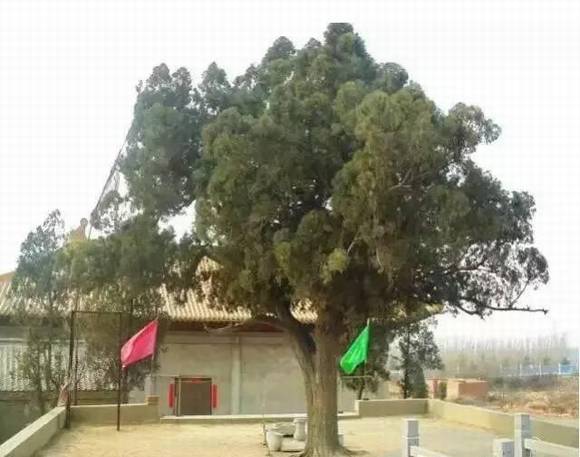 ���ϰ������� ��ɫ���ʯ��