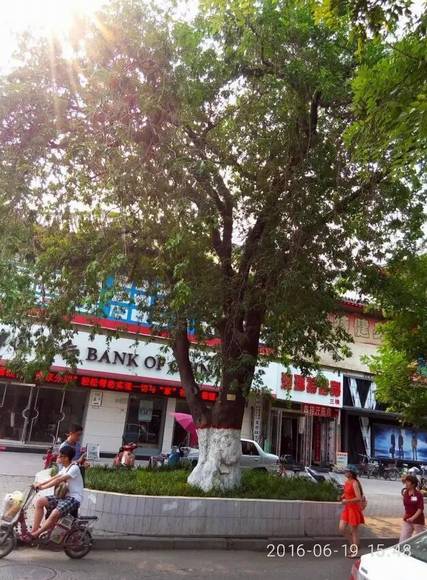 ���ϰ������� ��ɫ���ʯ��