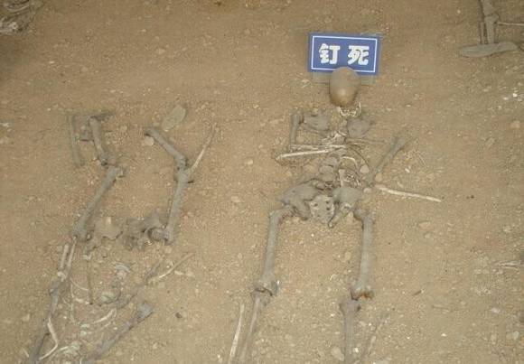 ����ʡ�����з������˿�