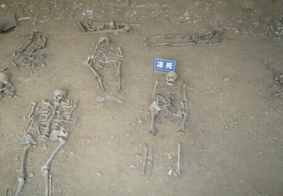 ����ʡ�����з������˿�