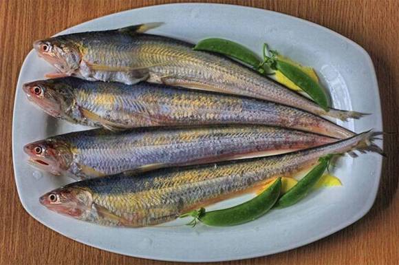 ���������ʡ�ָ����������