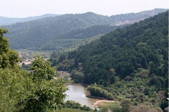 ����ͭ���񻪹�