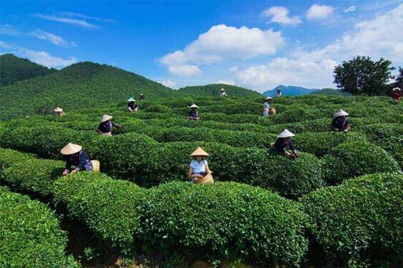 ����������׷���