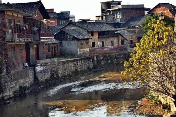 ������Թų�