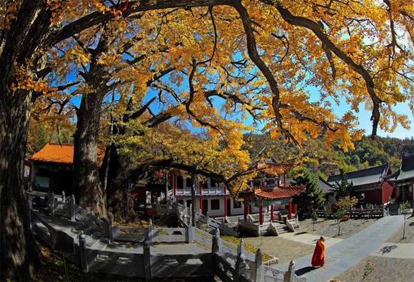 ����³ɽ������