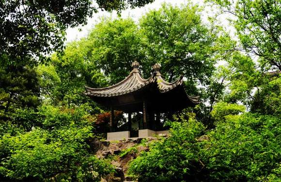 �㽭������԰