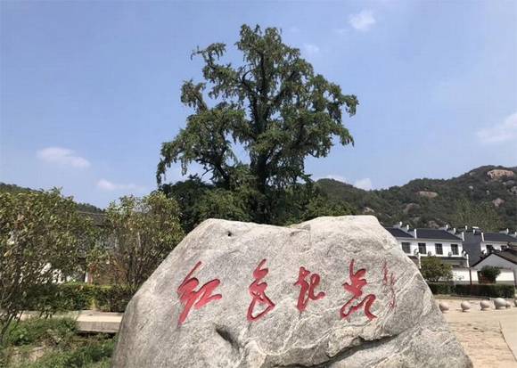 ����������Ĵ������