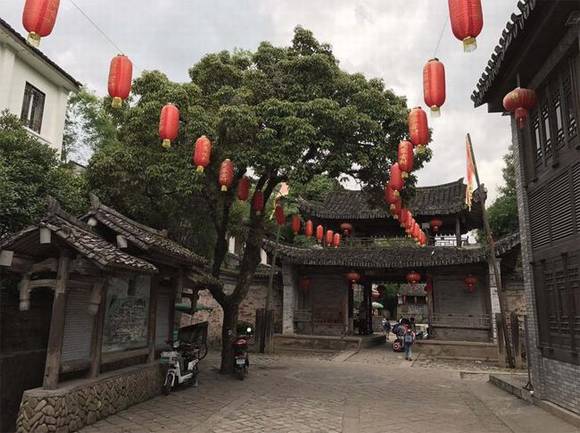 �㽭����ܽ�ش�