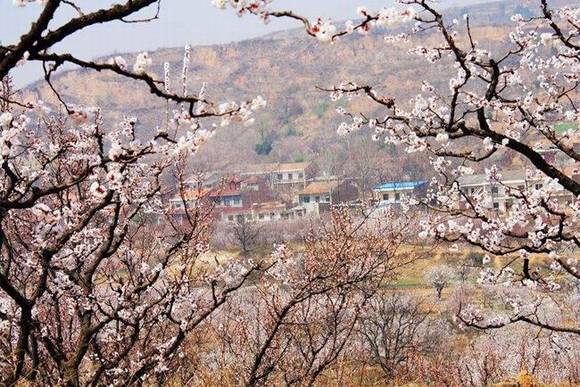 ����������ϰ��