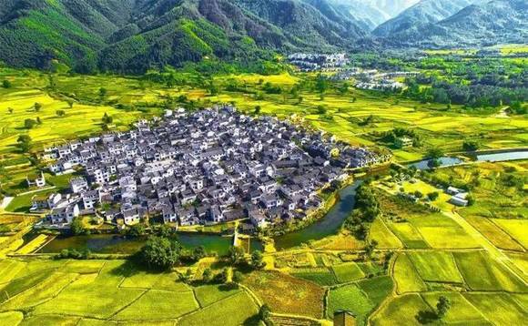 ��������¬��