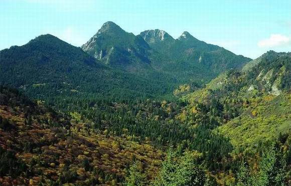 ������������ɽ�������£�