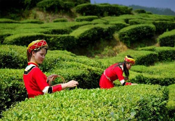 ������Ĵ�˵