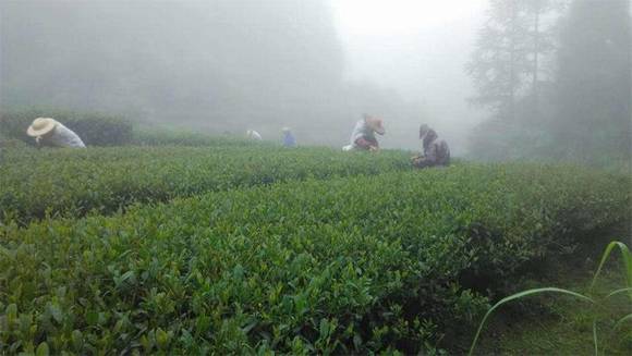 ������Ĵ�˵