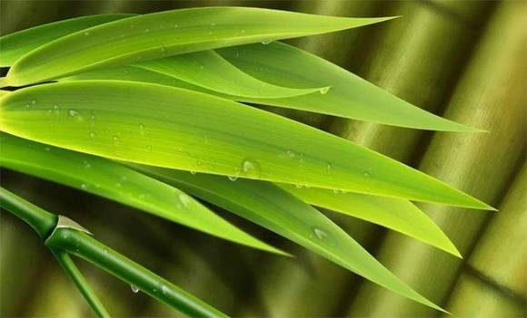 �Ĵ��������ӵķ���