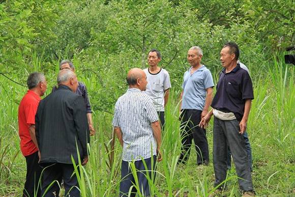 ����ɽ�裺̧������