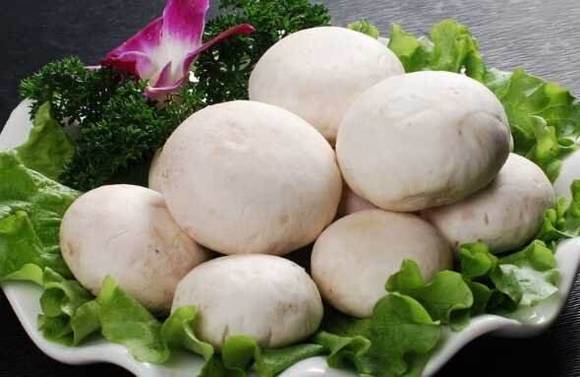 ��Ģ�Ĵ�˵����