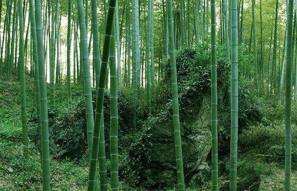 Ϊ�Ρ��꺮���ѡ����������ľ��ӡ��ж�����