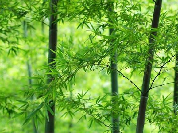 Ϊ�Ρ��꺮���ѡ����������ľ��ӡ��ж�����