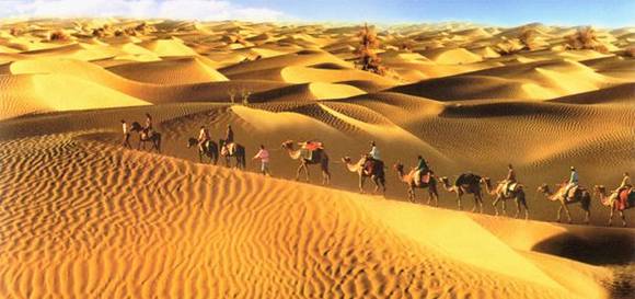 �й�50�������Ų��� ���������й�����