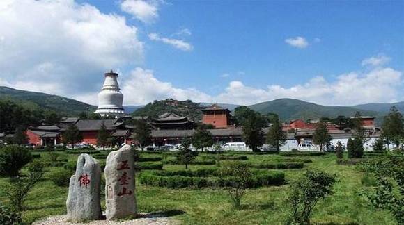 �й�50�������Ų��� ���������й�����