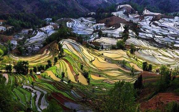 �й�50�������Ų��� ���������й�����