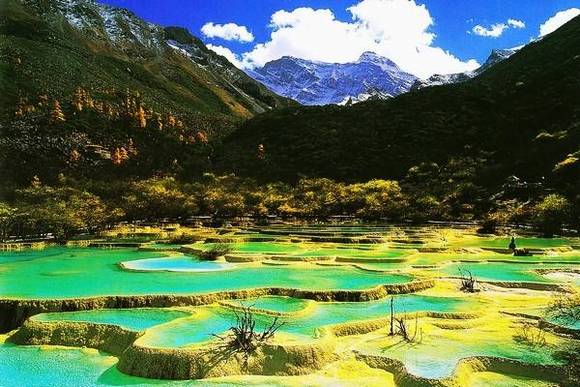 �й�50�������Ų��� ���������й�����