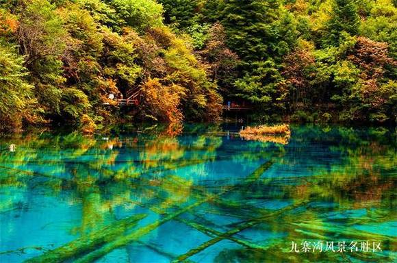 �й�50�������Ų��� ���������й�����