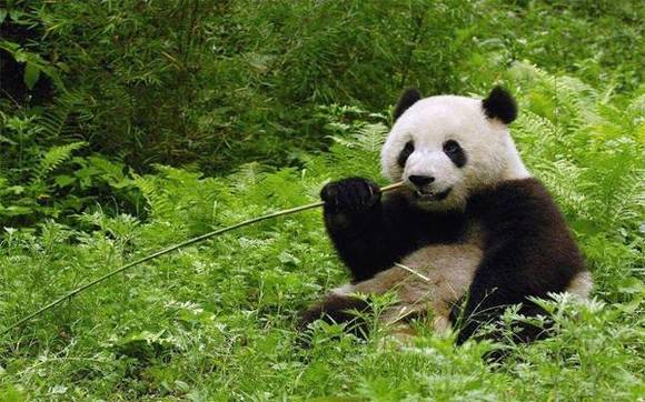 �й�50�������Ų��� ���������й�����