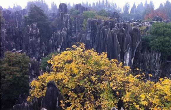 �й�50�������Ų��� ���������й�����