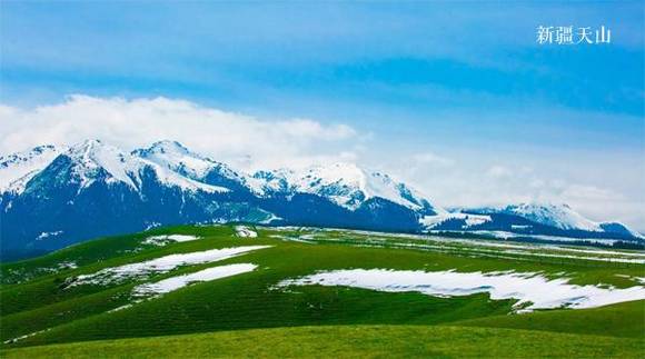 �й�50�������Ų��� ���������й�����