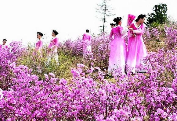 ������������˵