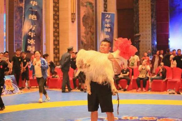 ɽ������ˤ�ӻ��������