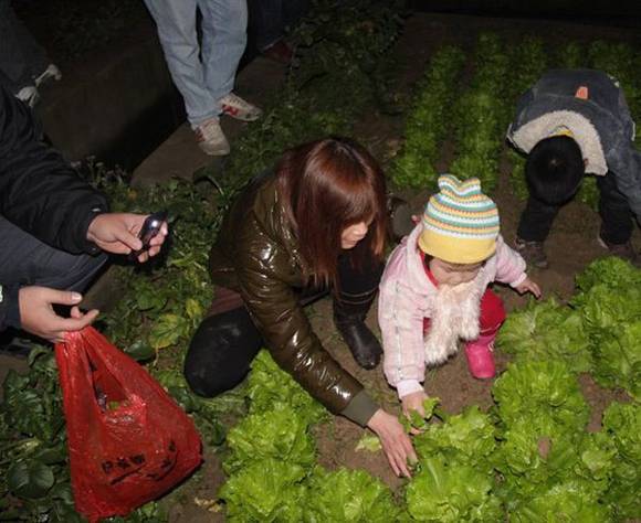 �ݶ�ƽ���ųǵİ���͵��ϰ��