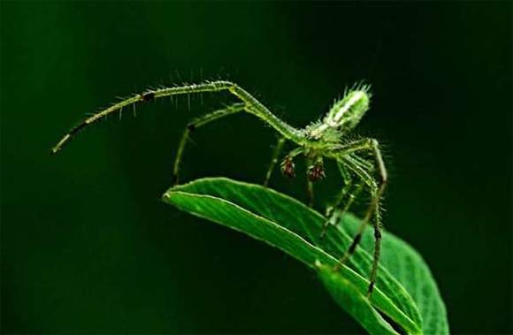 ����Ĵ󾭵䰮�����