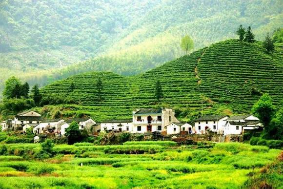 ��ɽë��Ĵ�˵