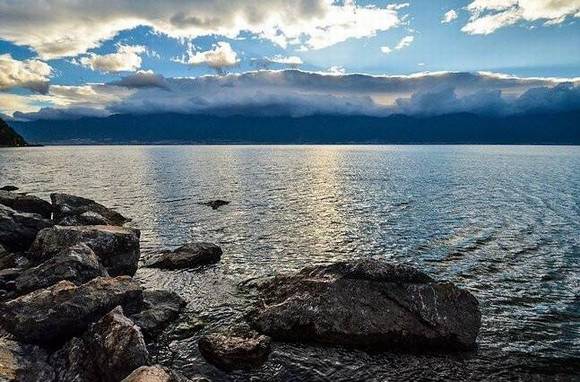 ������ӡ�������