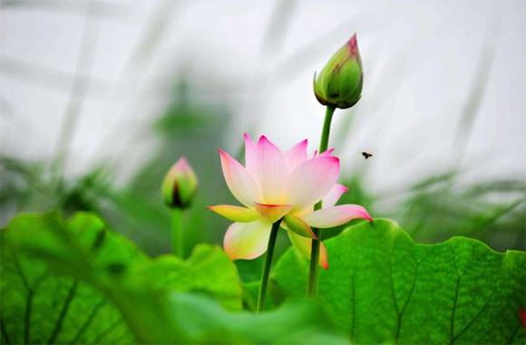 ɽ�������л�/����/����/���鶯��