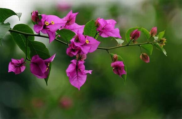 ���������л�/����/����